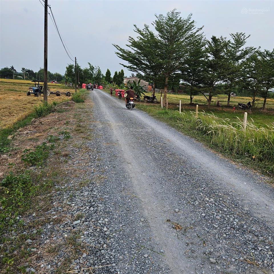 13,5 tỷ! bán 6.738 m2 mặt tiền đường nguyễn thị nà (đường 795), phường an nhơn tây, tp. hcm