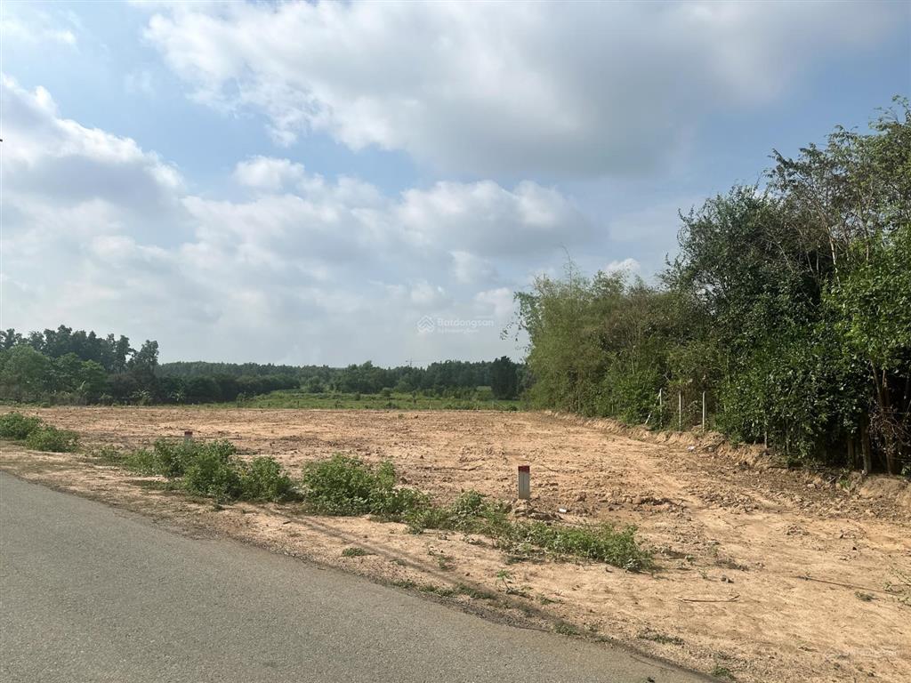 Đất vườn thái mỹ cây trôm mỹ khánh | giá ngộp đầu tư 875m2, 1tỷ8
