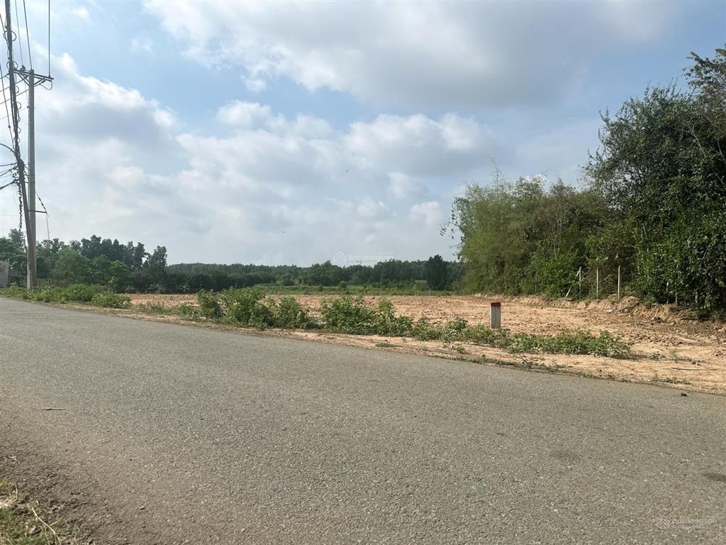 Đất vườn thái mỹ cây trôm mỹ khánh | giá ngộp đầu tư 875m2, 1tỷ8