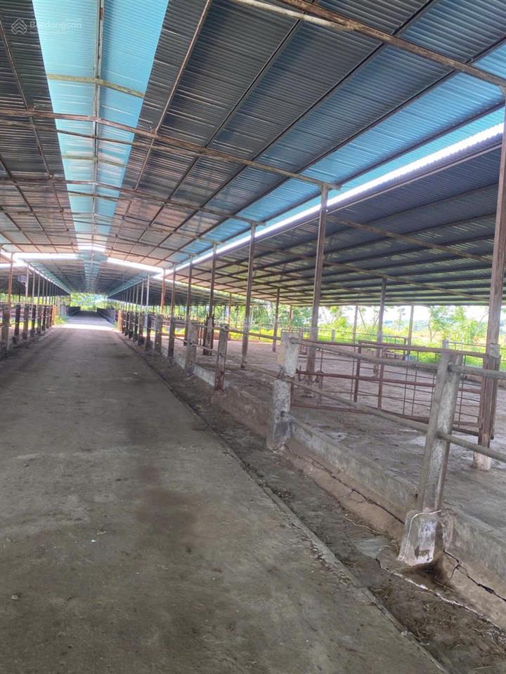 Cho thuê trang trại diện tích lớn tại ninh bình | vị trí thuận tiện, giá thương lượng