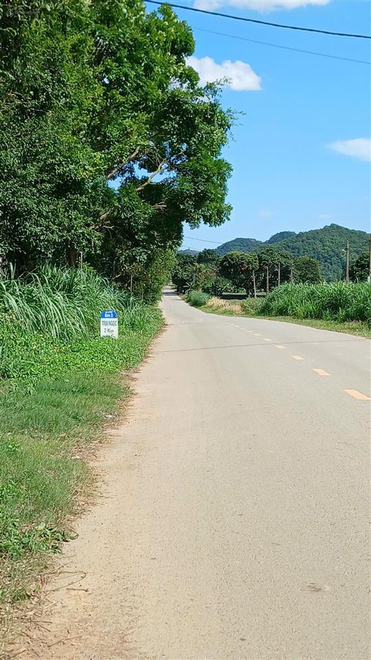 Cho thuê trang trại diện tích lớn tại ninh bình | vị trí thuận tiện, giá thương lượng