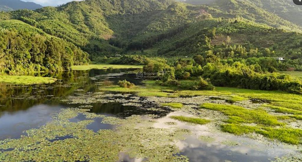 Cần bán đất vườn diên tân (gần hồ cây sung, giáp suối, khí hậu mát mẻ quanh năm)