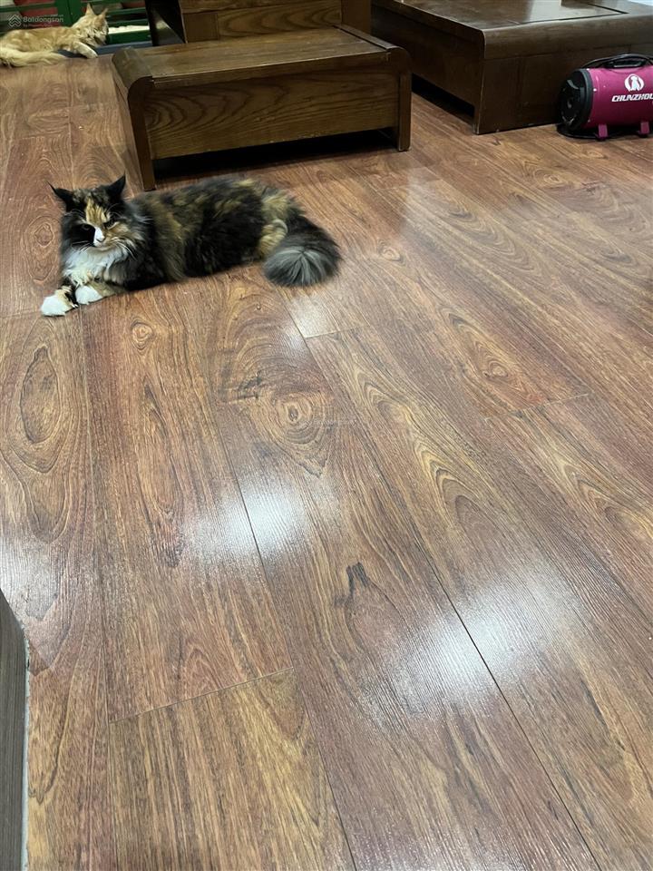 Bán nhà riêng chính chủ tại gò vấp,diện tích sử dụng 5.93m2,diện tích công nhận 42m2,hẻm xe hơi.