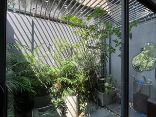 Căn hộ dịch vụ cao cấp tọa lạc tại 215 phan huy ích, xem hình và mô tả được biết thêm chi tiết