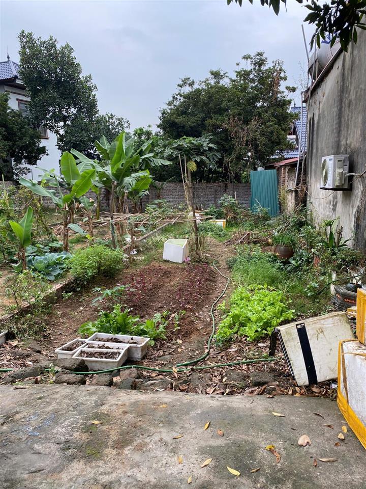 Bán đất tại nam cương, kcn nội bài, giá siêu hời 2,7 tỷ, 108m2