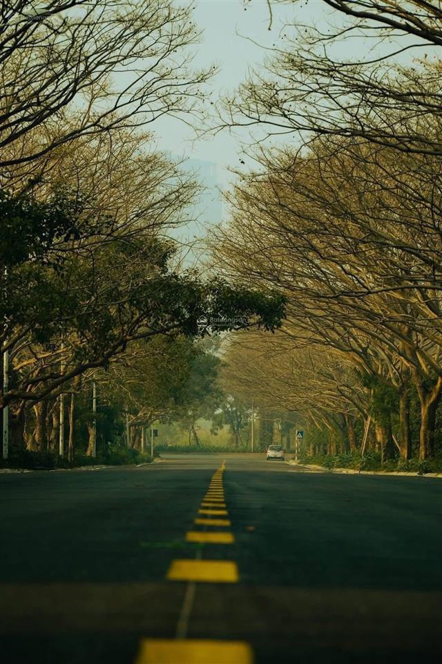 Cần bán liền kề thuỷ trúc ~90m2 * 4 tầng. giá bán 15,x tỷ.  0932 560 *** ạ