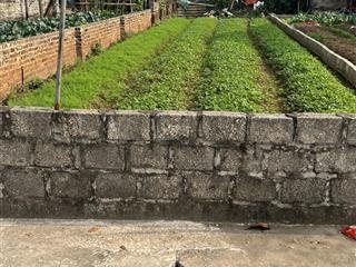 Gần chợ đông tảo cũ bán 85m2 đường trước đất 2 ô tô tránh giá đầu tư 3 tỷ có tl