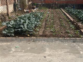 Bán đất đông tảo vuông đẹp 86m2, giá đầu tư 3 tỷ có thương lượng