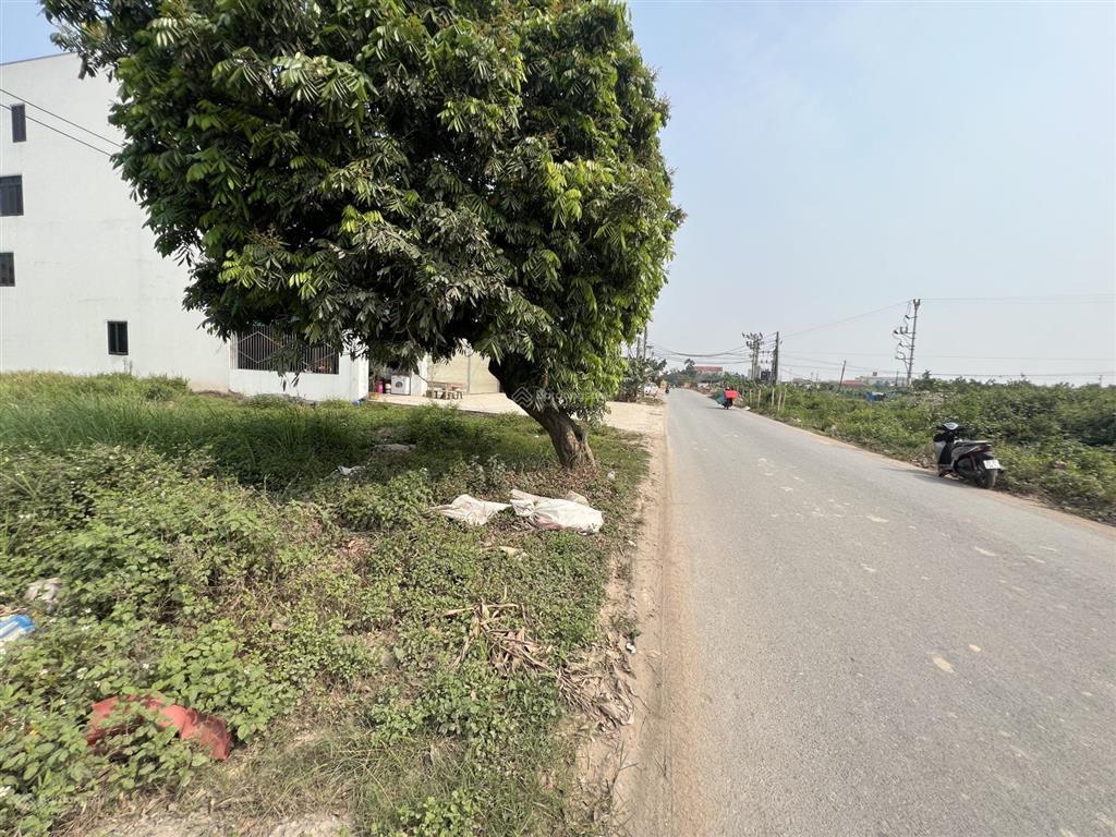 Đất đấu giá mặt đường 377 đối diện chợ mới đông tảo 100m2 kinh doanh dòng tiền tốt, giá đầu tư 9 tỷ
