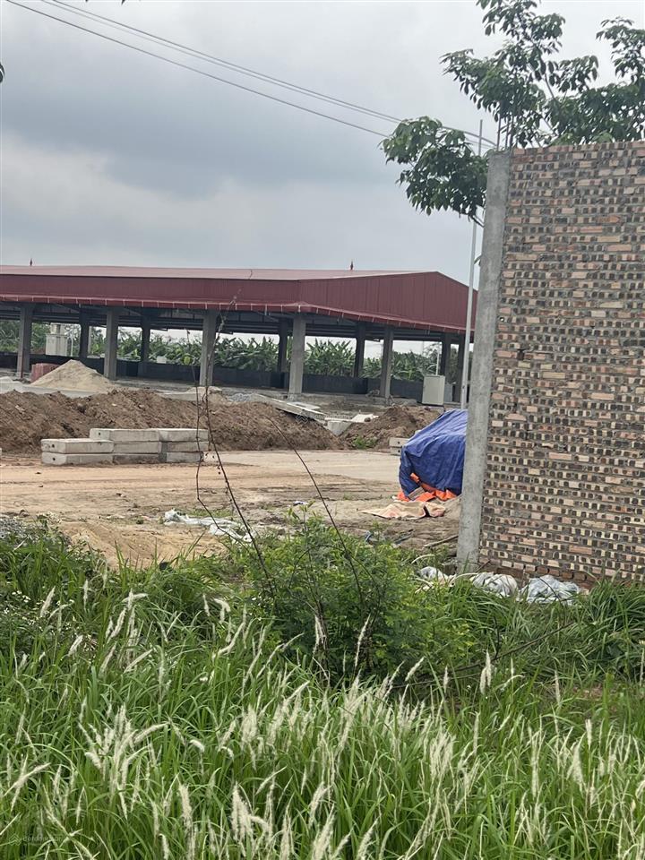 Đất đấu giá mặt đường 377 đối diện chợ mới đông tảo 100m2 kinh doanh dòng tiền tốt, giá đầu tư 9 tỷ