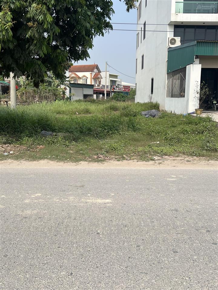 Đất đấu giá mặt đường 377 đối diện chợ mới đông tảo 100m2 kinh doanh dòng tiền tốt, giá đầu tư 9 tỷ