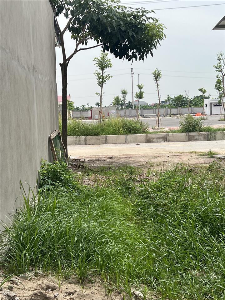 Đối diện chợ đầu mối đông tảo, kinh doanh đỉnh dòng tiền tốt bán 100m2 giá đầu tư