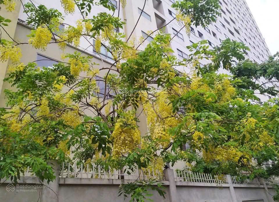 Bán căn hộ kđt xala 2pn view sông nhuệ  giá 3,2x  sổ đỏ chính chủ