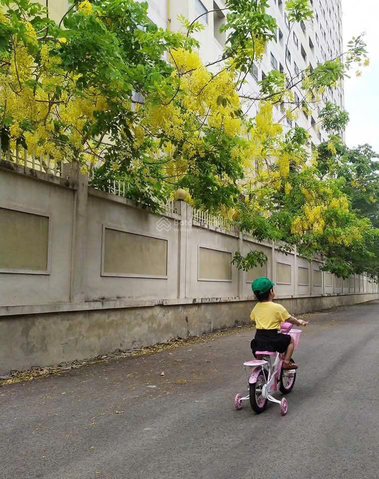 Bán căn hộ kđt xala 2pn view sông nhuệ  giá 3,2x  sổ đỏ chính chủ