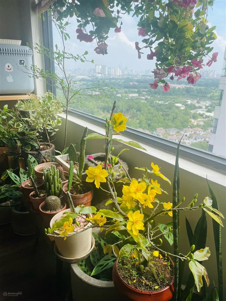 Bán nhanh căn 56m2  2pn mizuki park giá 3.650 tỷ full. sổ hồng sẵn, nhà mới đẹp