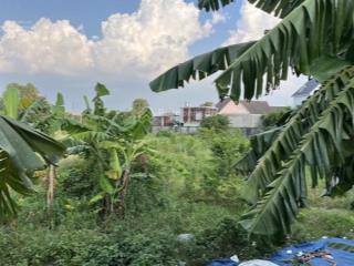 Đất 2 mt đường bình chuẩn 61 & 62 phường bình chuẩn tĩnh bình dương tp hcm dt 5000m(44*120) giá110