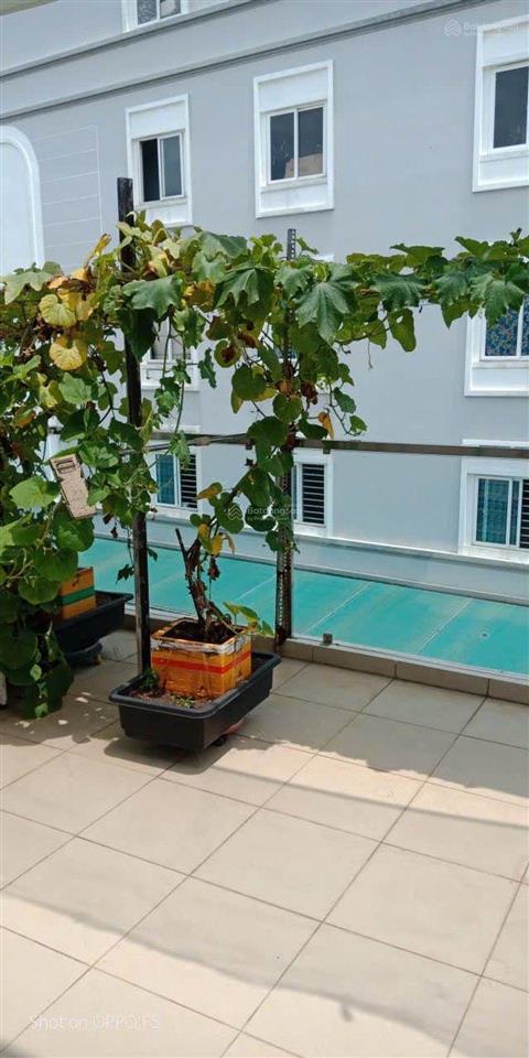 Nhà 3 tầng đường vườn lài, phường an phú đông, quận 12 chỉ 8,5tỷ dt 96m (5,6*17)
