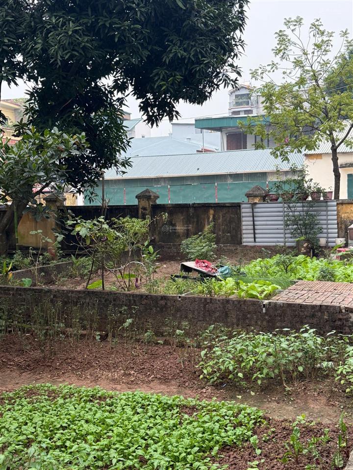 Đất đường giếng đình  thọ am  liên ninh. 40,2/45m, giá chỉ 4,6tỷ
đất nở hậu, 3 mặt thoáng