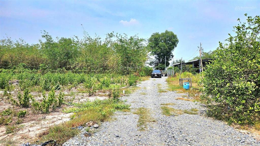 Đất full thổ 140m2 tại gò dầu, đường ô tô thông 2 đầu,  xem đất 0763 914 *** hoàng yến