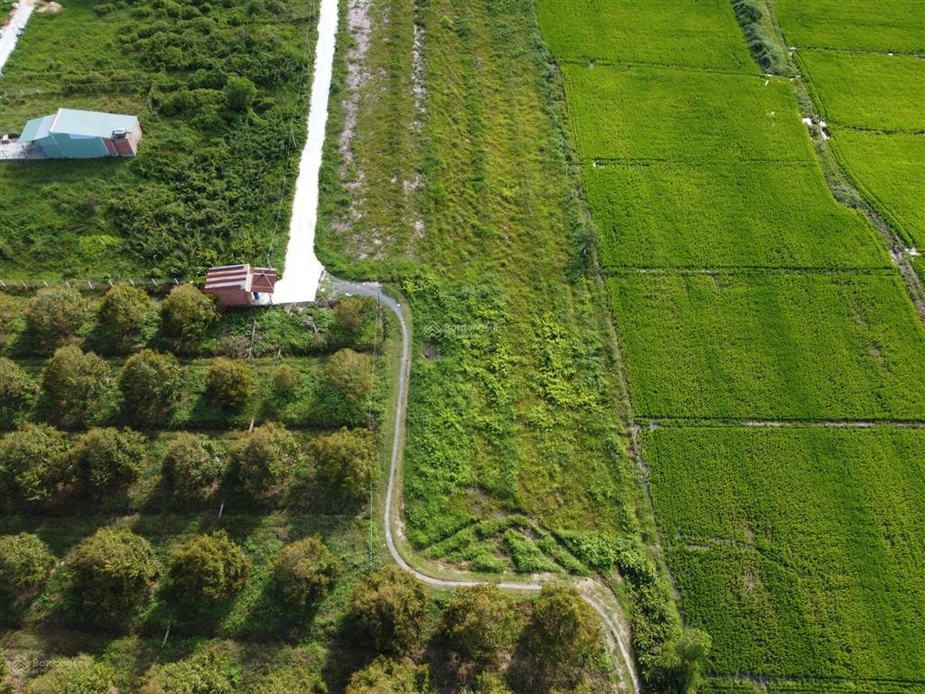 Bán đất 1.000m2 thổ cư gần hết, hiệp thạnh, tây ninh khai thác dòng tiền ven kcn full gt sử dụng
