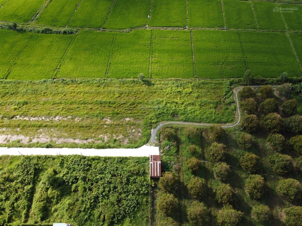 Bán đất 1.000m2 thổ cư gần hết, hiệp thạnh, tây ninh khai thác dòng tiền ven kcn full gt sử dụng