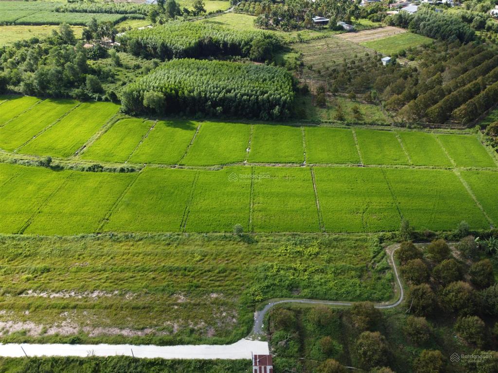 Bán đất 1.000m2 thổ cư gần hết, hiệp thạnh, tây ninh khai thác dòng tiền ven kcn full gt sử dụng
