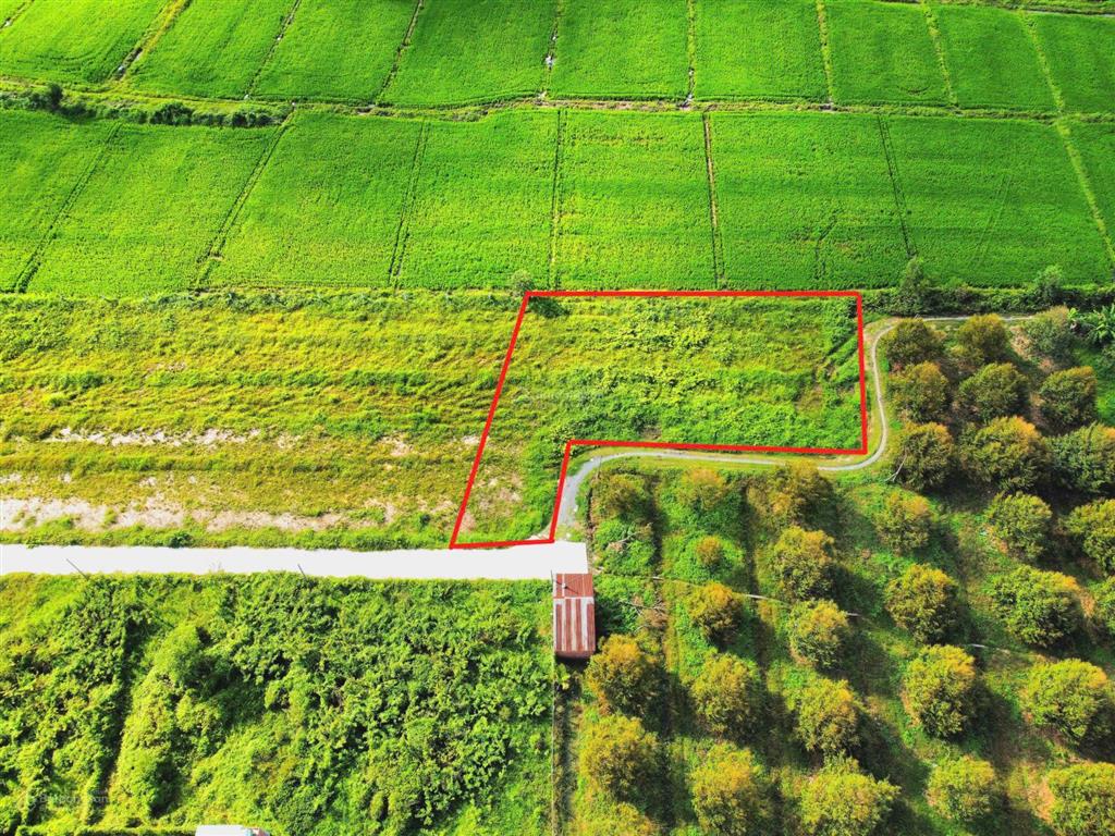 Bán đất 1.000m2 thổ cư gần hết, hiệp thạnh, tây ninh khai thác dòng tiền ven kcn full gt sử dụng