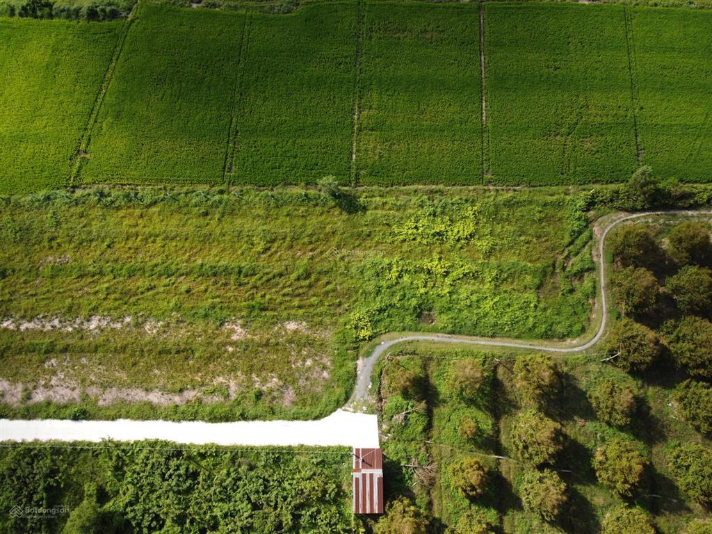 Bán đất 1.000m2 thổ cư gần hết, hiệp thạnh, tây ninh khai thác dòng tiền ven kcn full gt sử dụng