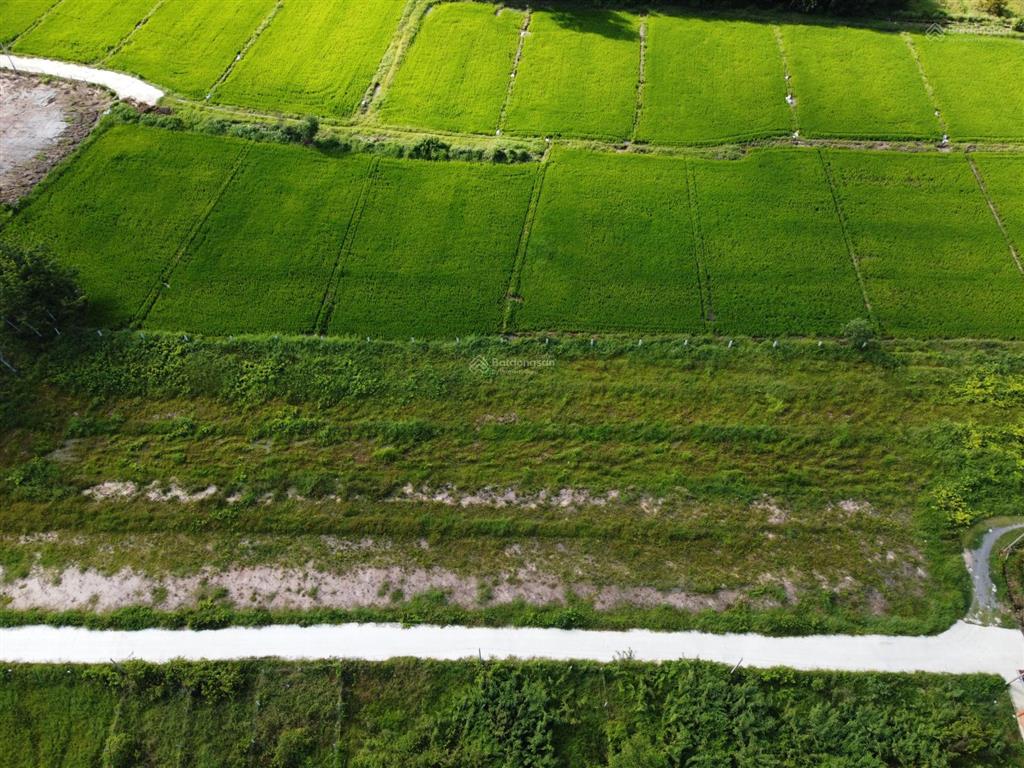 Bán đất 1.000m2 thổ cư gần hết, hiệp thạnh, tây ninh khai thác dòng tiền ven kcn full gt sử dụng