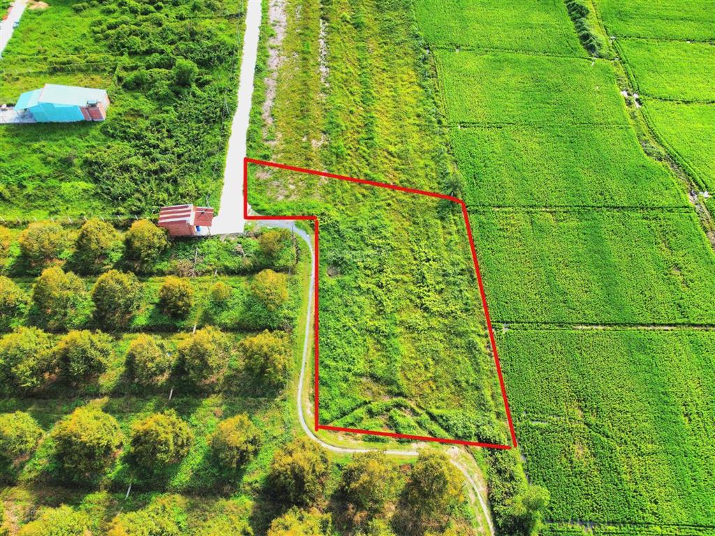 Bán đất 1.000m2 thổ cư gần hết, hiệp thạnh, tây ninh khai thác dòng tiền ven kcn full gt sử dụng