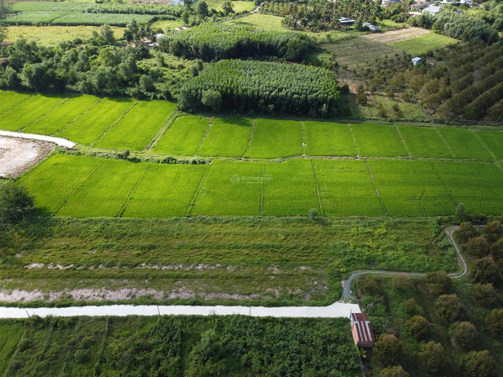Bán đất 1.000m2 thổ cư gần hết, hiệp thạnh, tây ninh khai thác dòng tiền ven kcn full gt sử dụng