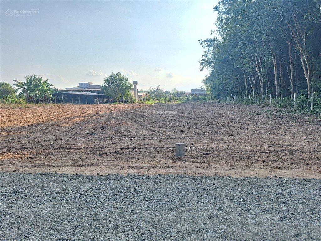 Đất xây nhà hậu dài 5x43m nở hậu 6m, đường qh nhựa thông, sát kcn hiệp thạnh zalo yến 0763 914 ***