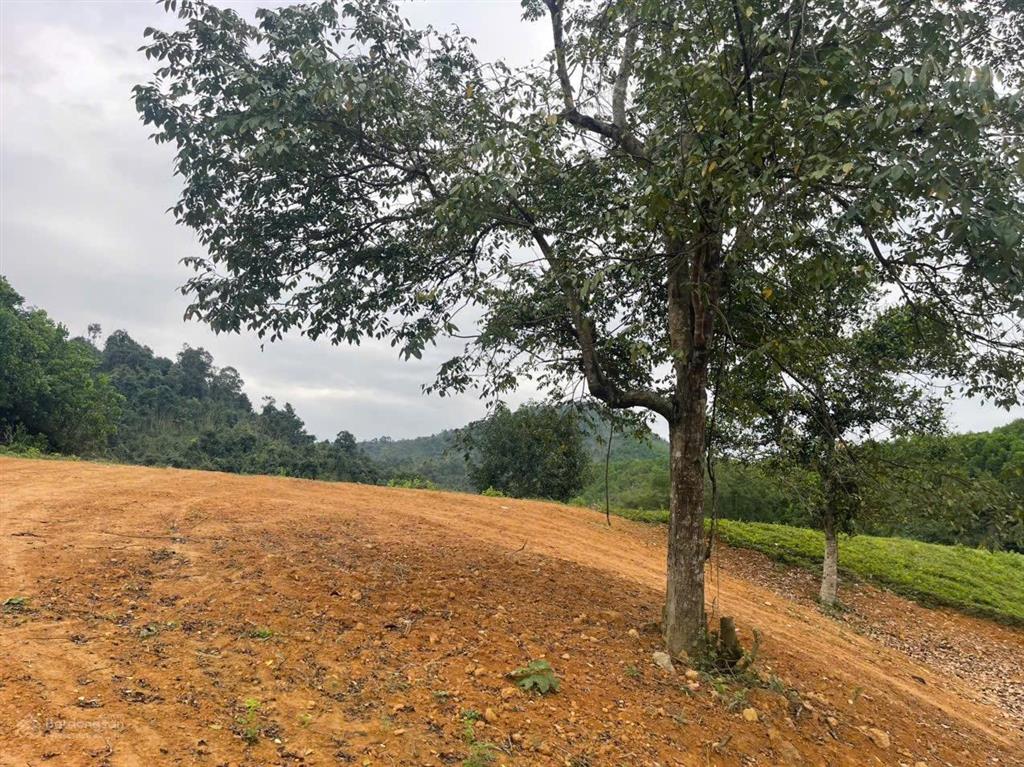 Cần bán đất view cánh đồng tại kim bôi, hòa bình