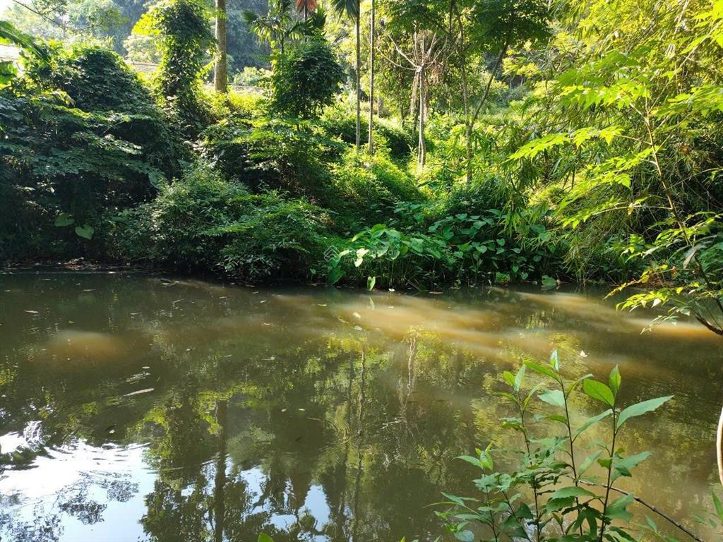 Bán lô đất view đẹp  giá tốt tại kim bôi  hoà bình