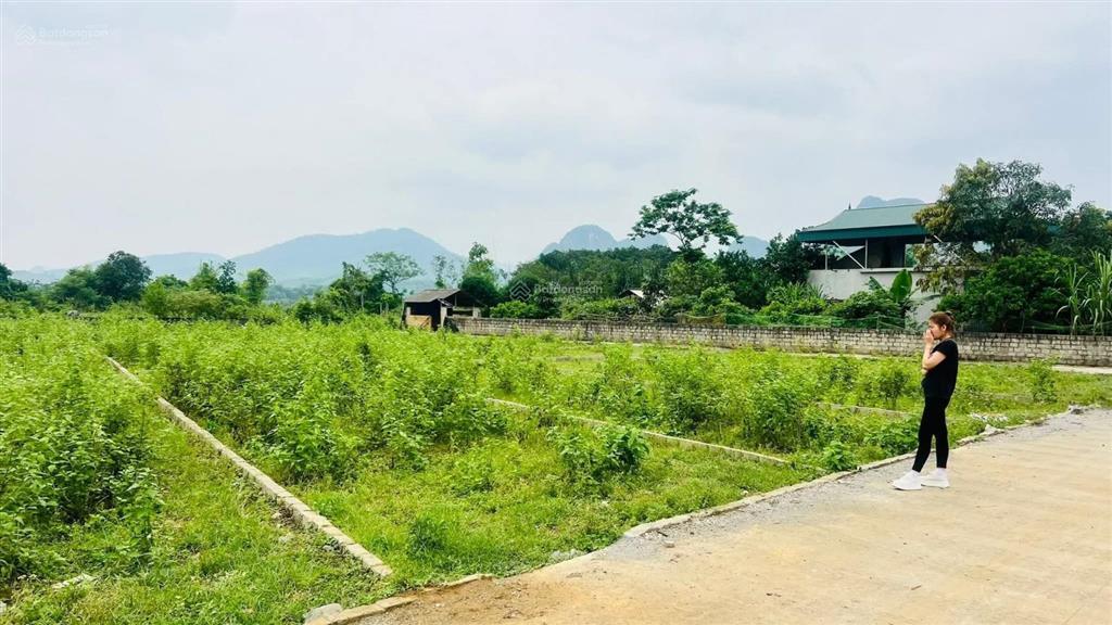 Bán đất tại xã nam thượng, huyện kim bôi, hòa bình, giá cực chất 500 triệu, 90m2