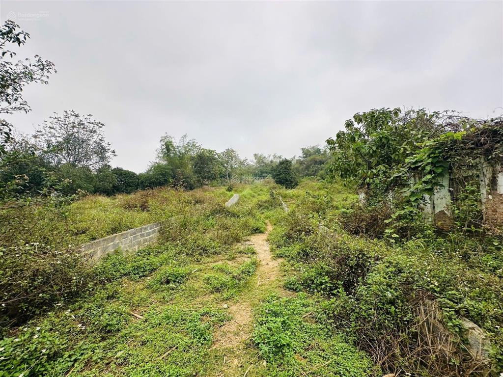 Chủ gửi bán gấp quỹ đất gần 5.000m2 hàng xóm làm homestay thân thiện gần tt lương sơn