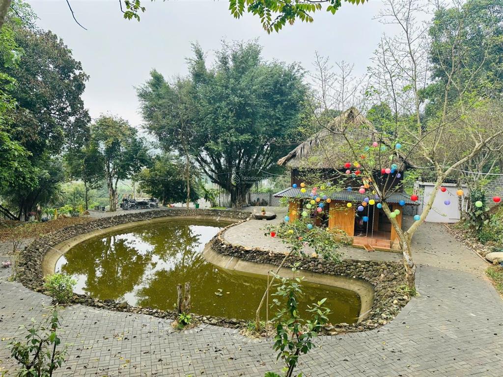 Chủ gửi bán gấp quỹ đất gần 5.000m2 hàng xóm làm homestay thân thiện gần tt lương sơn