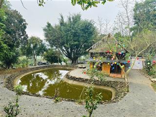 Chủ gửi bán gấp quỹ đất gần 5.000m2 hàng xóm làm homestay thân thiện gần tt lương sơn