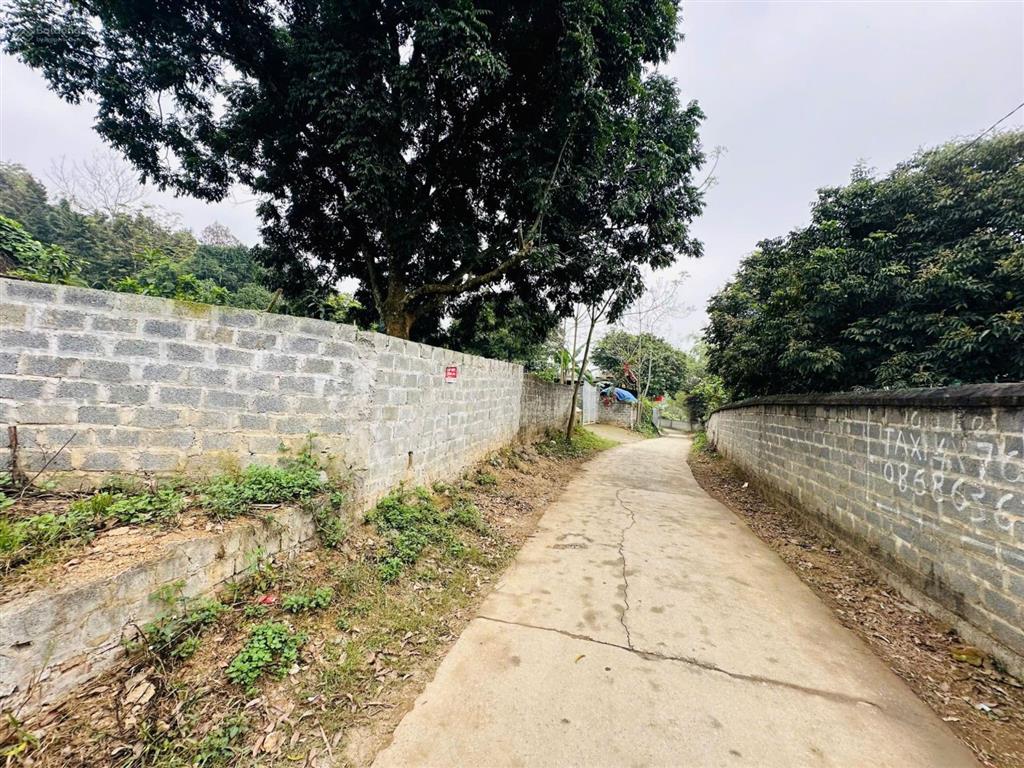 Chủ gửi bán gấp quỹ đất gần 5.000m2 hàng xóm làm homestay thân thiện gần tt lương sơn