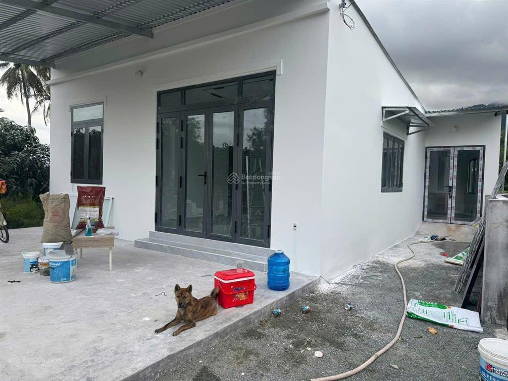 3.4 tỷ sở hữu ngay 2.500m²  nhà mới + vườn xoài đang thu   hoạch