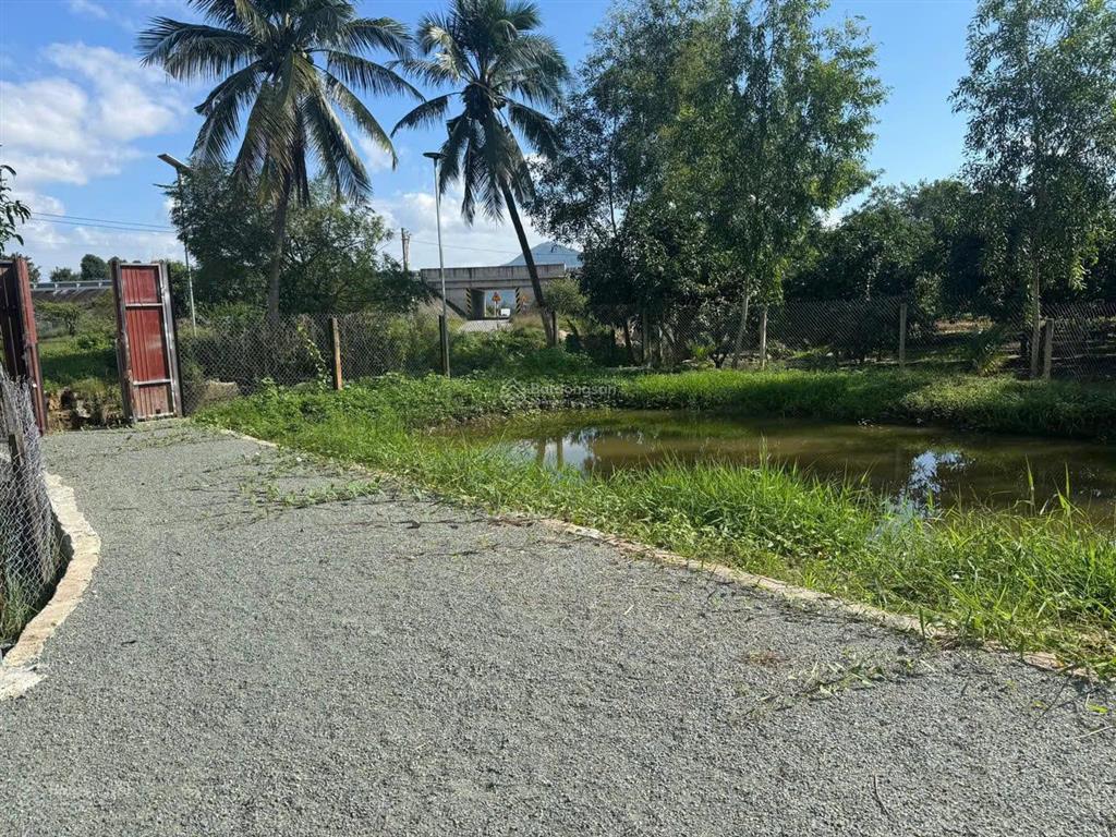 3.4 tỷ sở hữu ngay 2.500m²  nhà mới + vườn xoài đang thu   hoạch