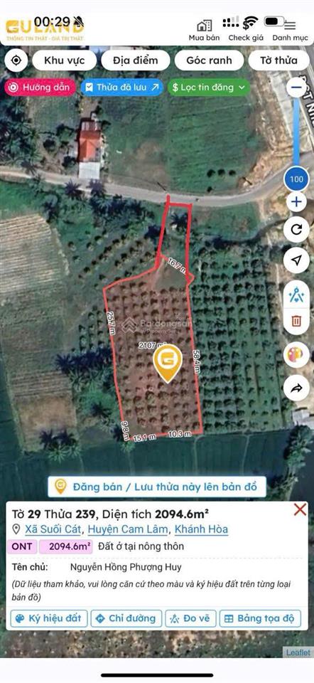 3.4 tỷ sở hữu ngay 2.500m²  nhà mới + vườn xoài đang thu   hoạch