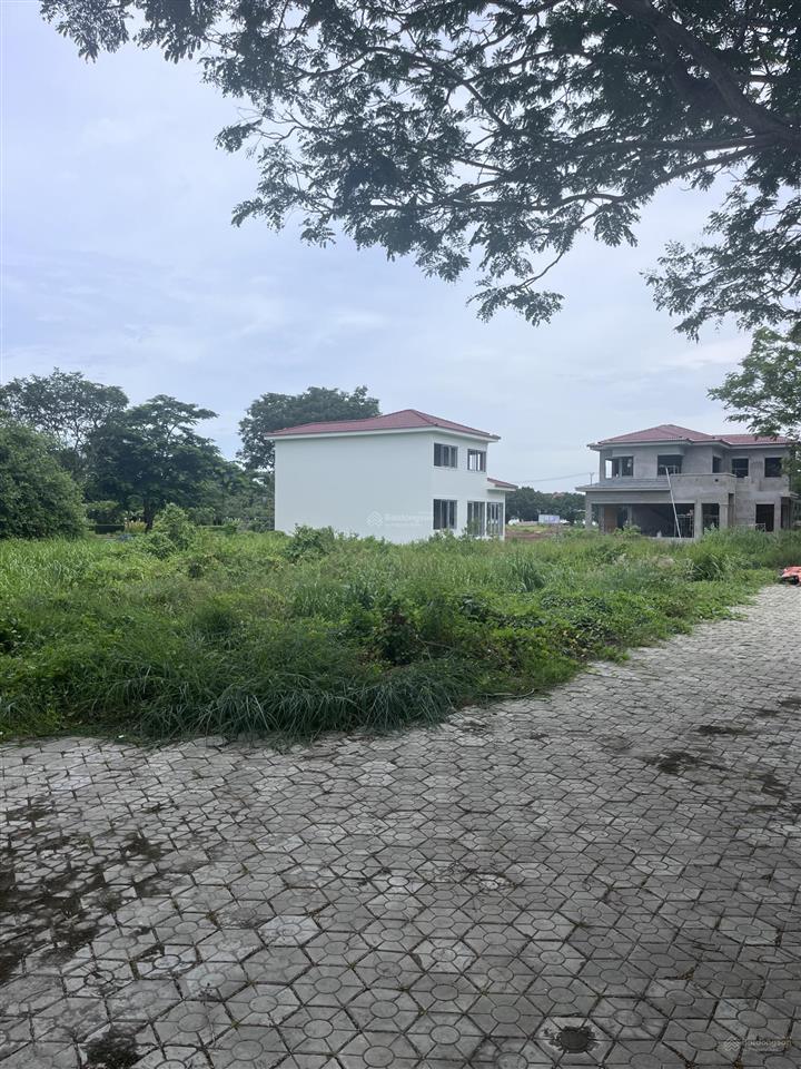 Bán nền np, mt đường lvn dự án la maison de, phước lộc cg. dt 5x22 giá 7,1 tỷ  0965 004 *** mr huy