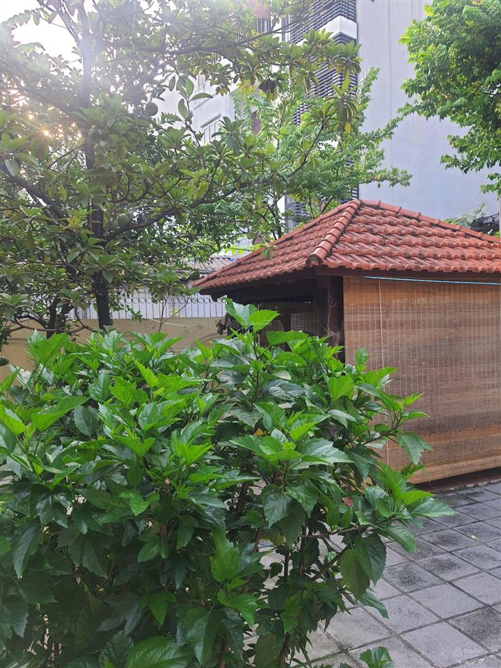 Bán nhà 3t, 280m2 đất tại xuân đỉnh (xin phép không tg/ mg/qc), sổ đỏ, không dính qh, giá tl nhẹ
