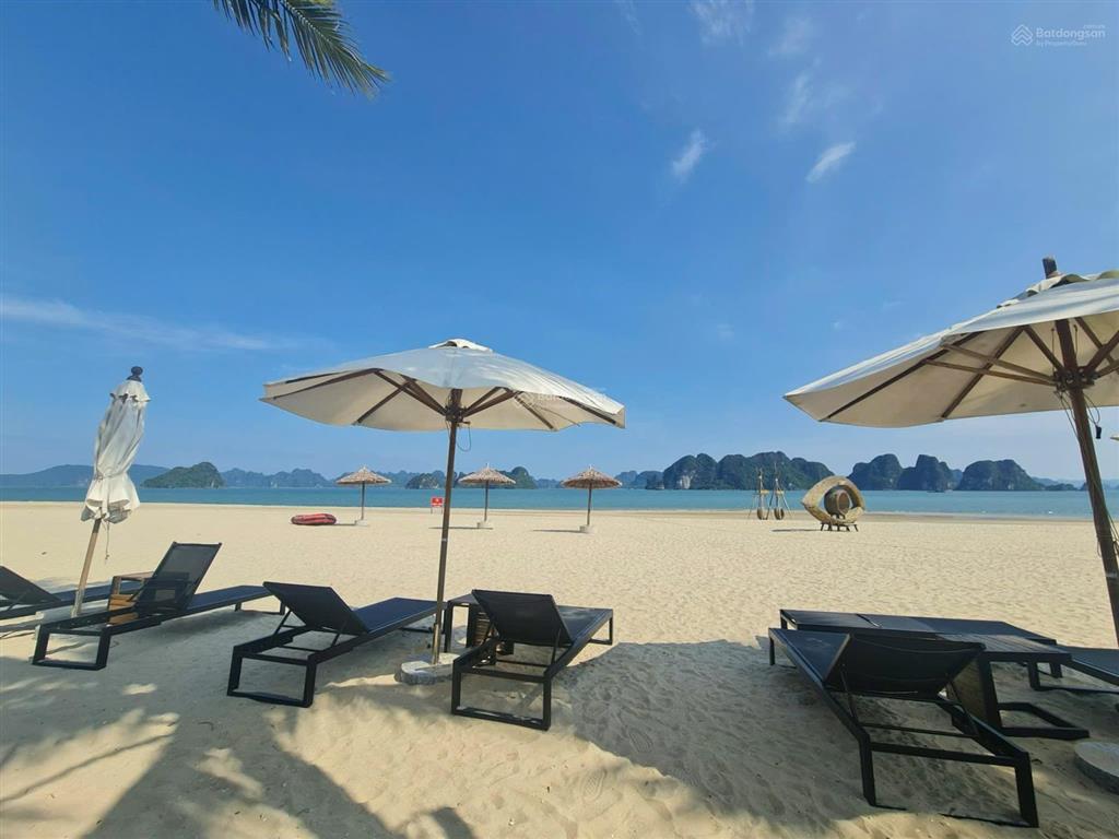 Chính chủ bán shophouse sonasea vân đồn harbor city 100m²,4 tầng,sổ đỏ lâu dài,view biển,chỉ 4,8tỷ