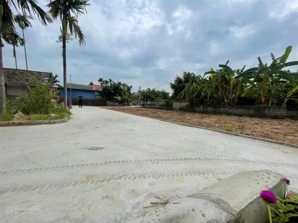 Bán đất thổ cư chính chủ, phường hòa bình, thủy nguyên, hải phòng