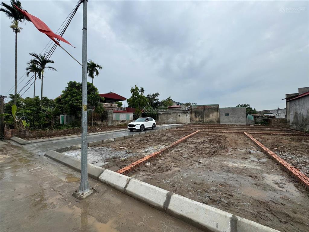 Hàng hot f0 trung tâm tân dân an lão  đường thông ô tô vào tận đất  khu vực cực kì sầm uất 595tr