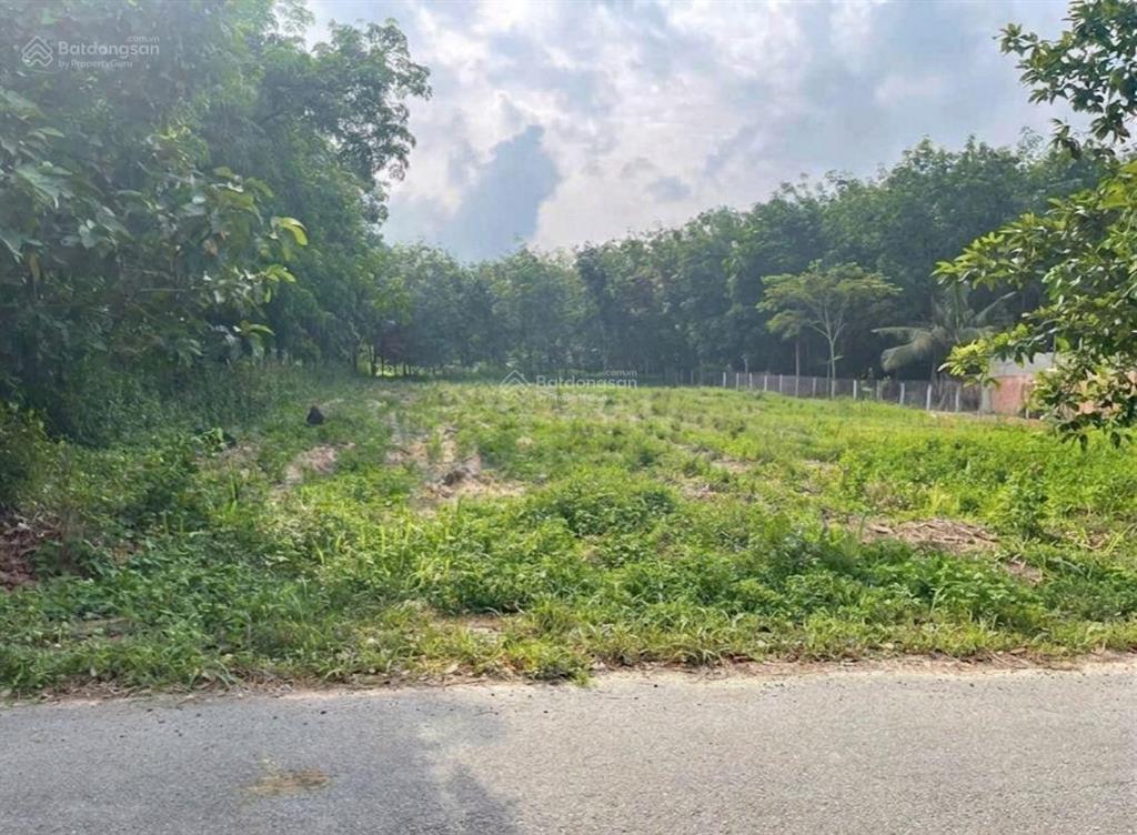 Sang lô đất 400m2 thổ cư giá rẻ cách dh chỉ 50m