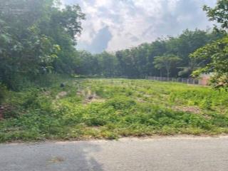 Sang lô đất 400m2 thổ cư giá rẻ cách dh chỉ 50m