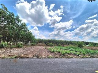 Tôi cần sang gấp nền đất thổ cư mặt tiền đường nhựa ngay thcs an linh để trả nợ